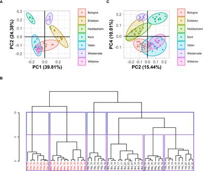 Nutrients and soil structure influence furovirus infection of wheat